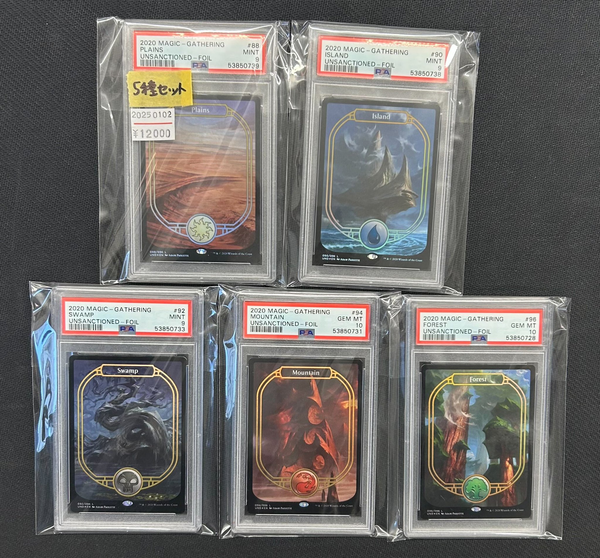MTG TMP 大地の知識 PSA9 MTG TMP 大地の知識 PSA9 - メルカリ