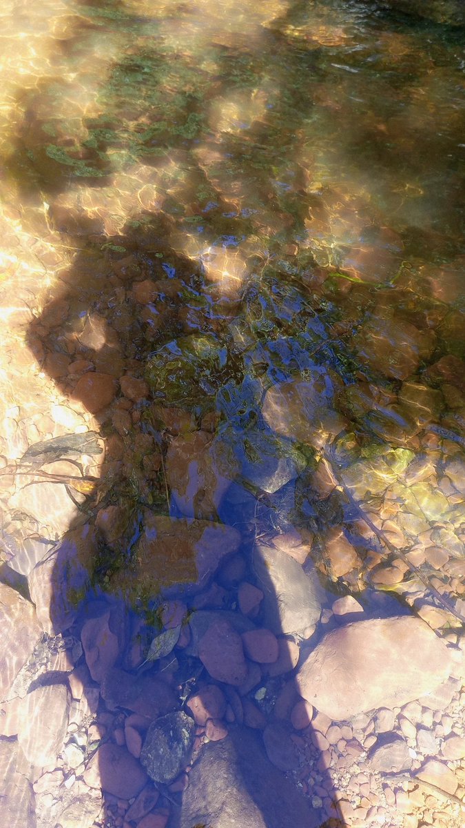 Aún tengo el sol para besar tu sombra... 🎵🎶