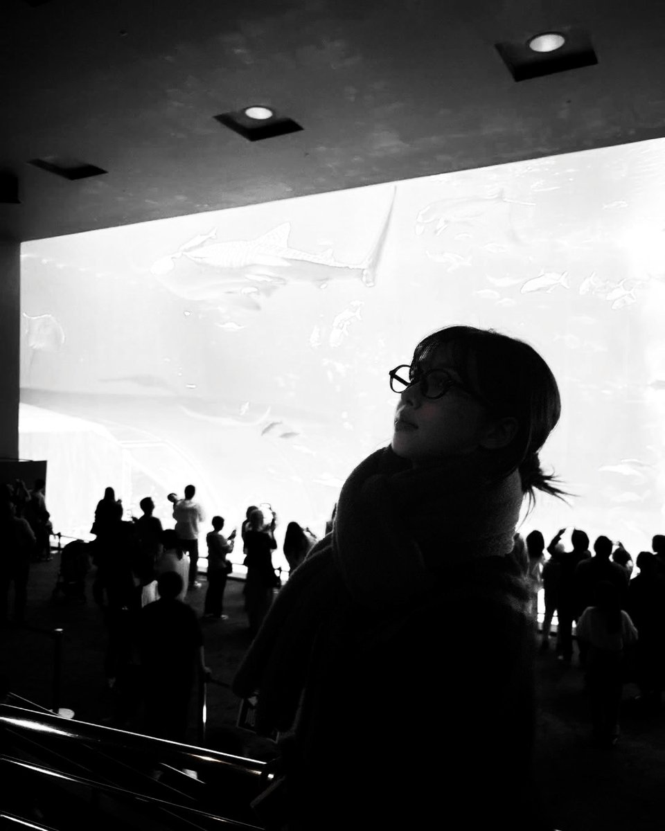yukarsina's tweet photo. I was allowing to connect with the underwater world like never before. It was truly a day well spent, filled with quality time exploring, learning, and appreciating the beauty and importance of sharks. https://t.co/fCSQXszIfC
