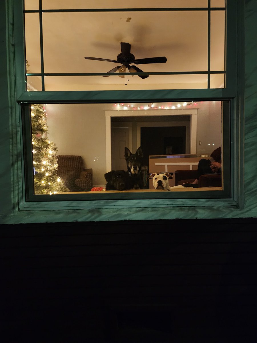 My favorite part of 2024😍