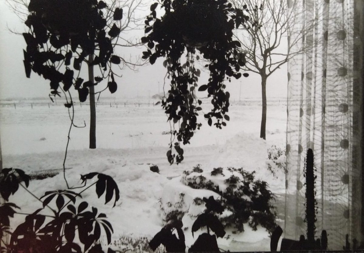 Langzaamaan druppelt materiaal van de sneeuwstorm van 1979 binnen, maar meer is welkom. Wie heeft foto’s en/of anekdotes van het gebied Oosterhoogebrug en de huidige wijk Ulgersmaborg van deze horrorwinter voor de <a href="/brugborgvizier/">BrugborgVizier</a> ? Mail naar info@brugborgvizier.nl ⛄️
