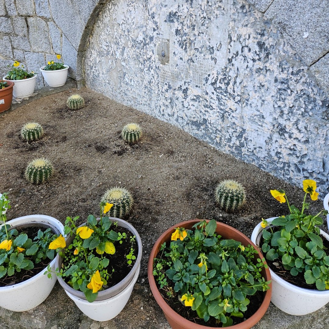 🌿Reacondicionamos el jardín del centro de coworking del edificio municipal La  Solana. 🌱 Un espacio renovado por Medio Ambiente para que disfrutes de un  entorno más agradable mientras trabajas o te inspiras.