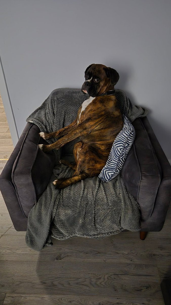 Kyle White tweet media