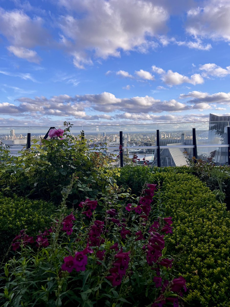 Did you know London has over 371 hectares of green roofs, covering more space than Hyde Park? 

We have even found some tiny sweat bees on them more than 5 stories up! 🐝🌸

 #GreenLondon #UrbanNature
