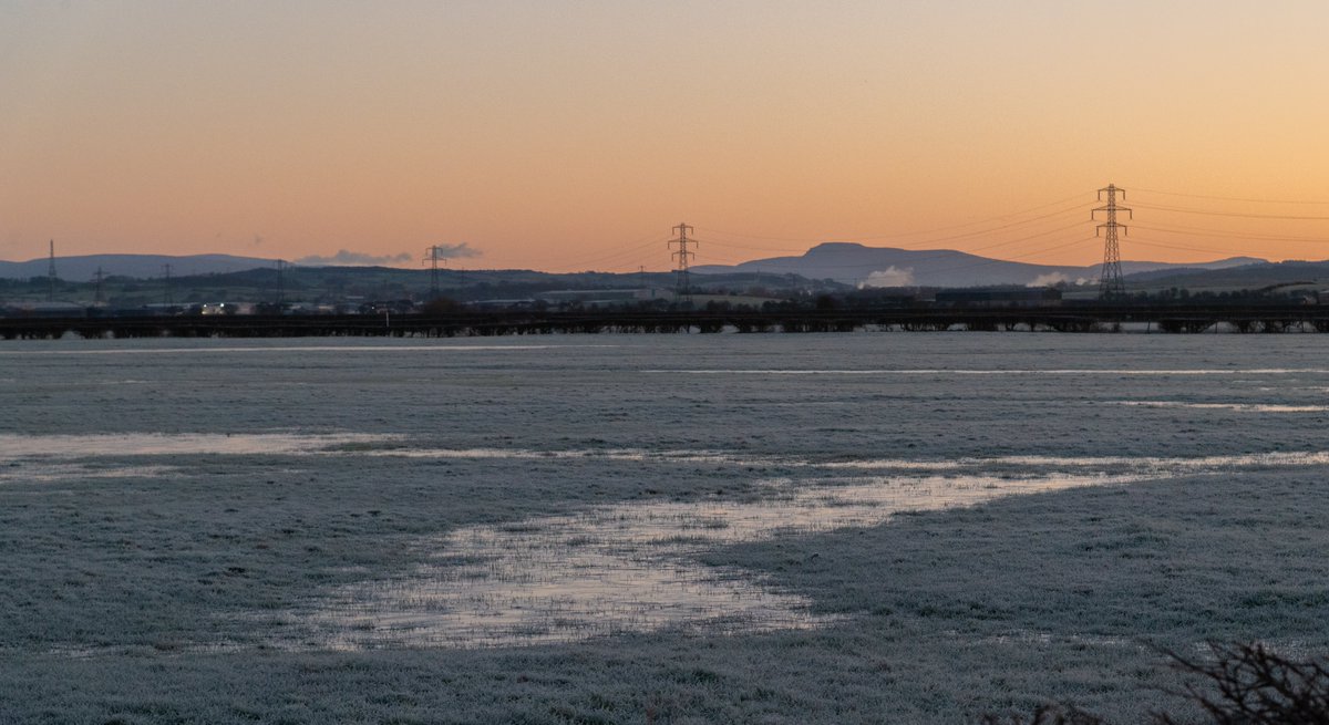 JanetMPackham💙 tweet media