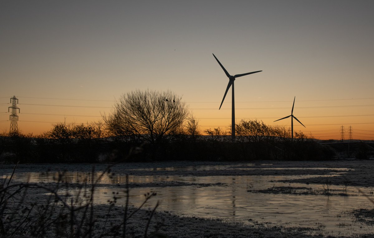 JanetMPackham💙 tweet media