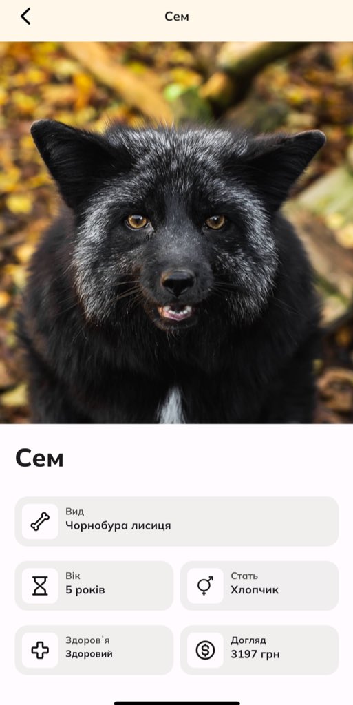 Пані Зло tweet media