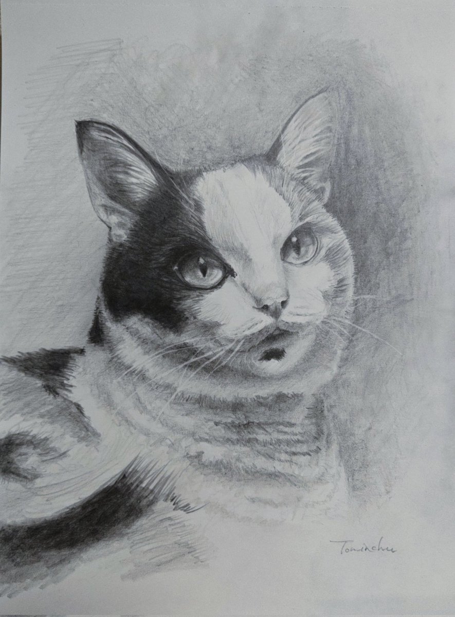 明けましておめでとうございます
描き初めしました
鉛筆で三毛さんです
久しぶりにマジ描きでめっちゃ気持ちよかった…ふい〜う〜ららららら〜