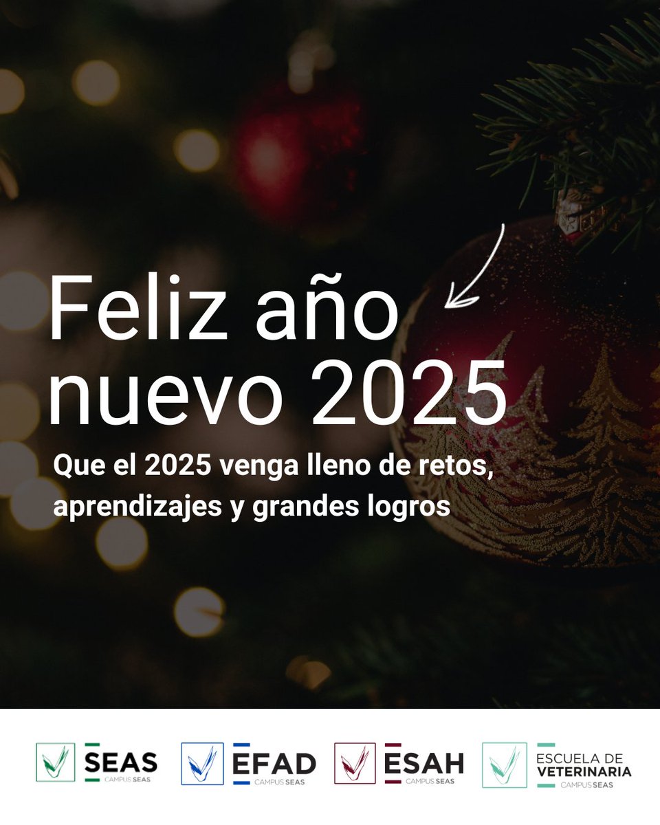 🎉 ¡Feliz Año Nuevo, familia SEAS! ✨

Cerramos 2024 celebrando aprendizajes y logros, y abrimos 2025 llenos de ilusión por nuevos retos. 🚀

🌍 En Campus SEAS seguimos apostando por la educación como motor de cambio. Este año, ¡seguimos creciendo juntos! 💪

#FelizAñoNuevo 🎄
