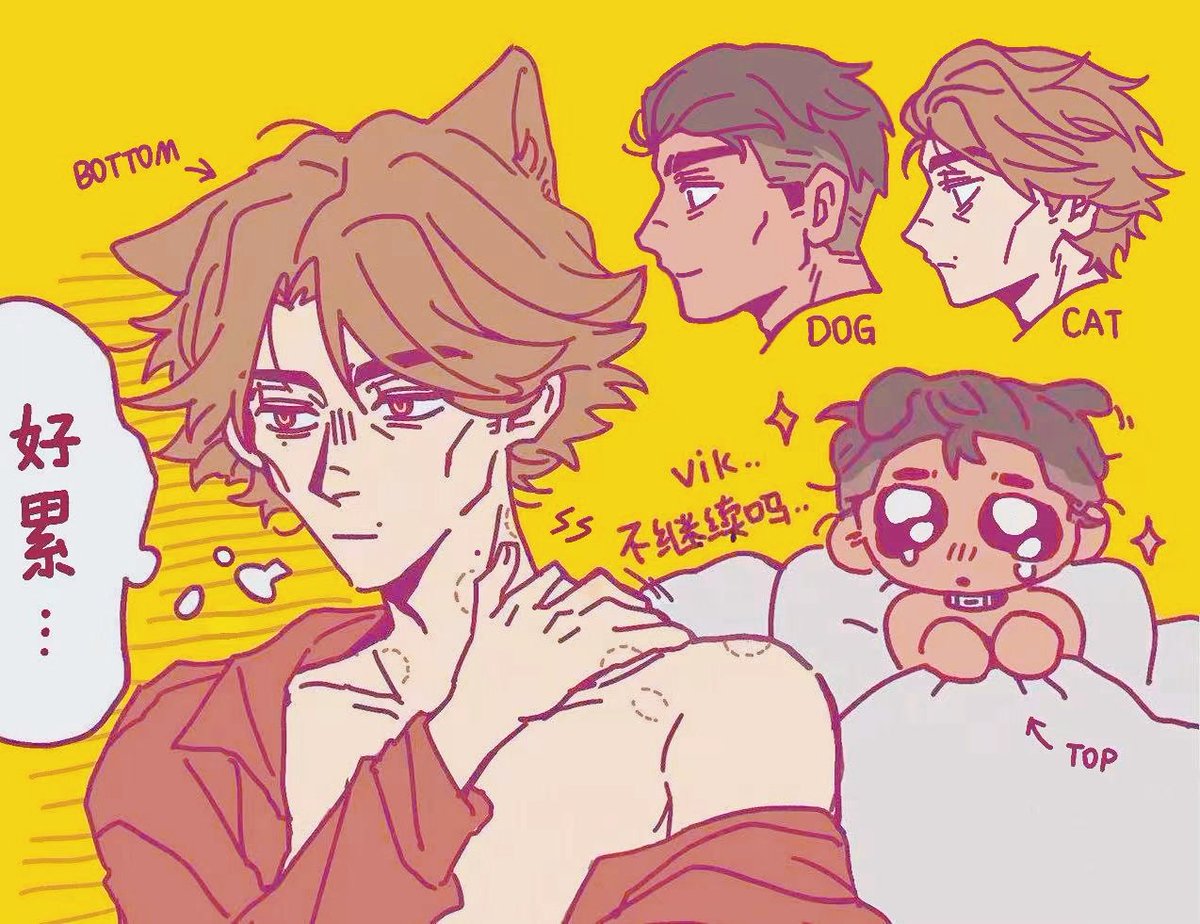 🐶＆🐱
＃jayvik