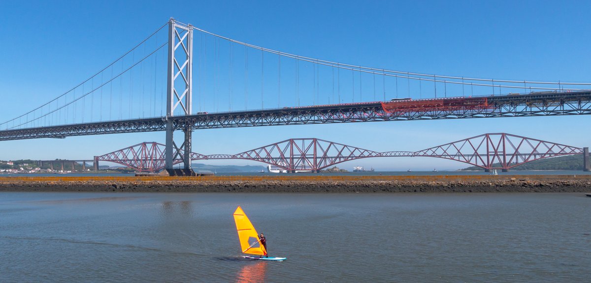 Daily Picture Theme tweet media