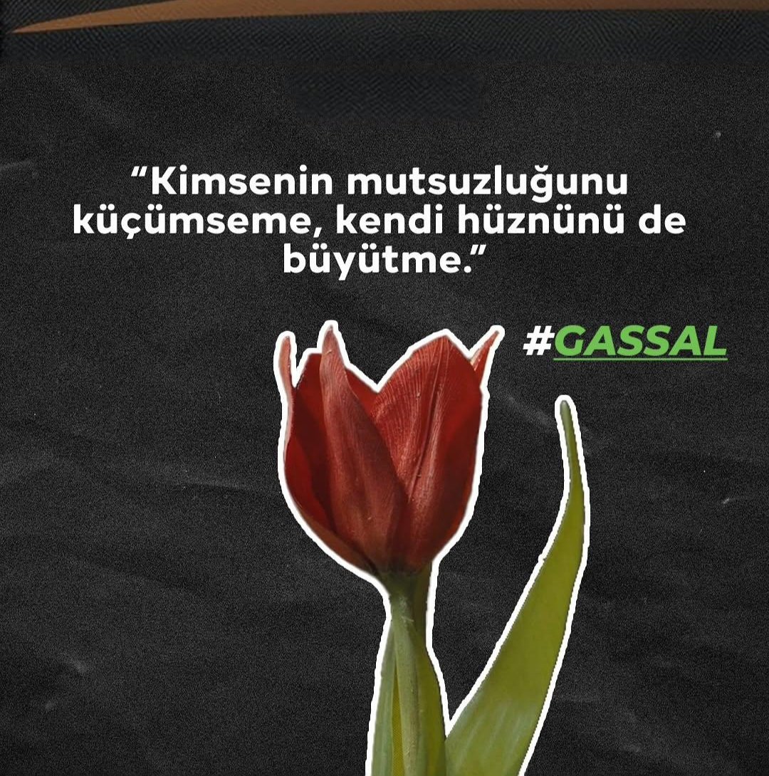 "Kimsenin mutsuzluğunu küçümseme, kendi hüznünü de büyütme."

#Gassal #Tabii #GassalTabii
<a href="/tabiiresmi/">tabii</a>