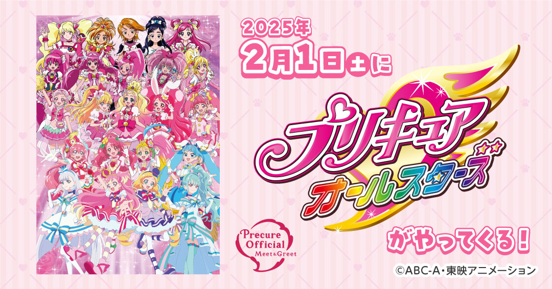 プリキュア 2016〜2025年 まとめ売り プリキュア 2016〜2025年 まとめ売り