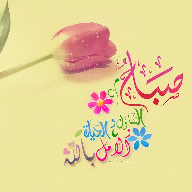 إفتحوا ابواب الأمل ..✍🏻
ثمة بشائر مقبلة مع نور الشمس 
لتشرق ارواحكم بها من جديد 
بشائر الفرح قادمة بقدرة الله 
لا تنسون اذكاركم و أقروا ما تيسر 
من القرآن يبارك لكم الله كل يومك 
وعلى قدر ما تريدون البركة واليسر 
أقروا ربنا بيسر لكم كل حياتكم ويقر عيونكم 
بكل خير
صباح التفائل
👤