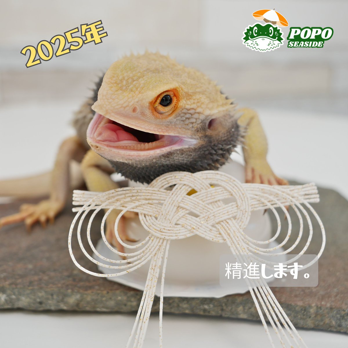 や tweet media