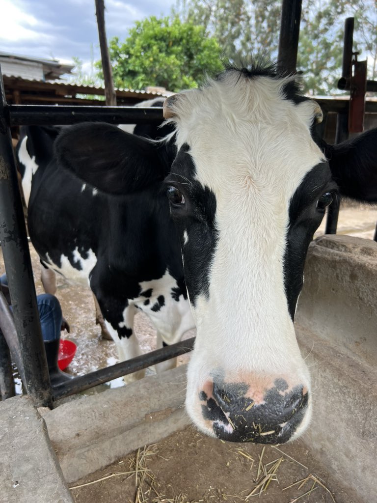 The Farmercist tweet media