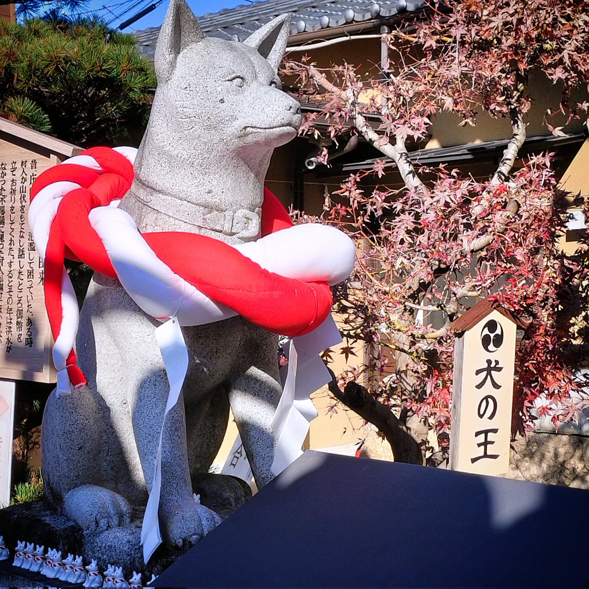 🐍年ですが🐶派なので初詣は名古屋市西区の伊奴神社へ 白い犬のお守り