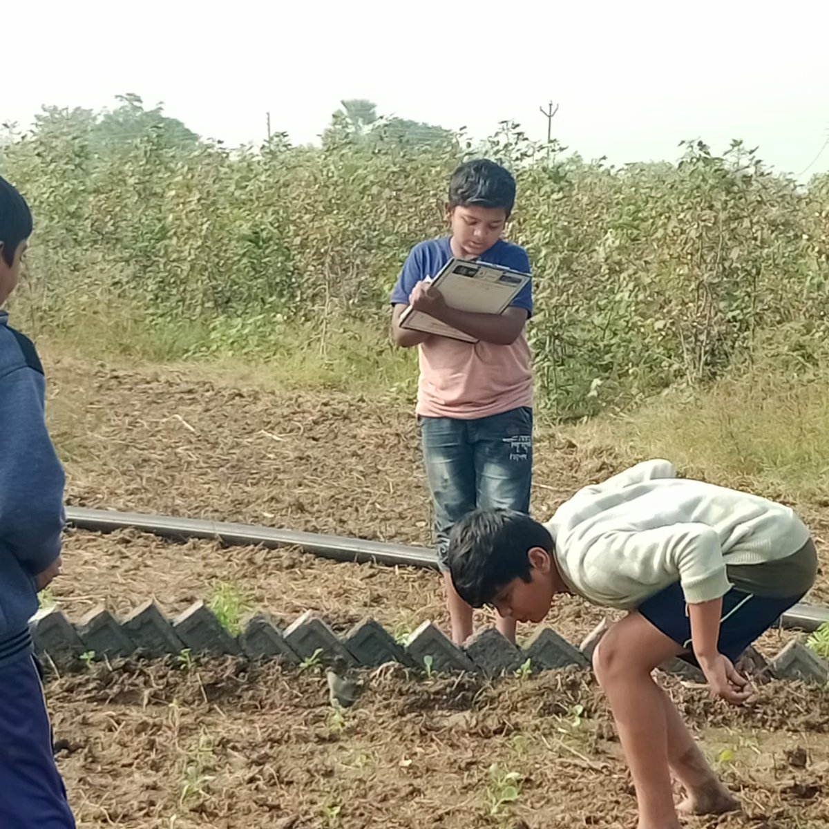 🌱 Growing Futures! 🌱

Students of Seloo Khanapur Village Primary School, Wardha, visited the Circular Model Nutri Garden. They explored vegetables, learned organic farming, and embraced sustainable agriculture. 🌾🍅

#NutriGarden #OrganicFarming #SustainableAgriculture