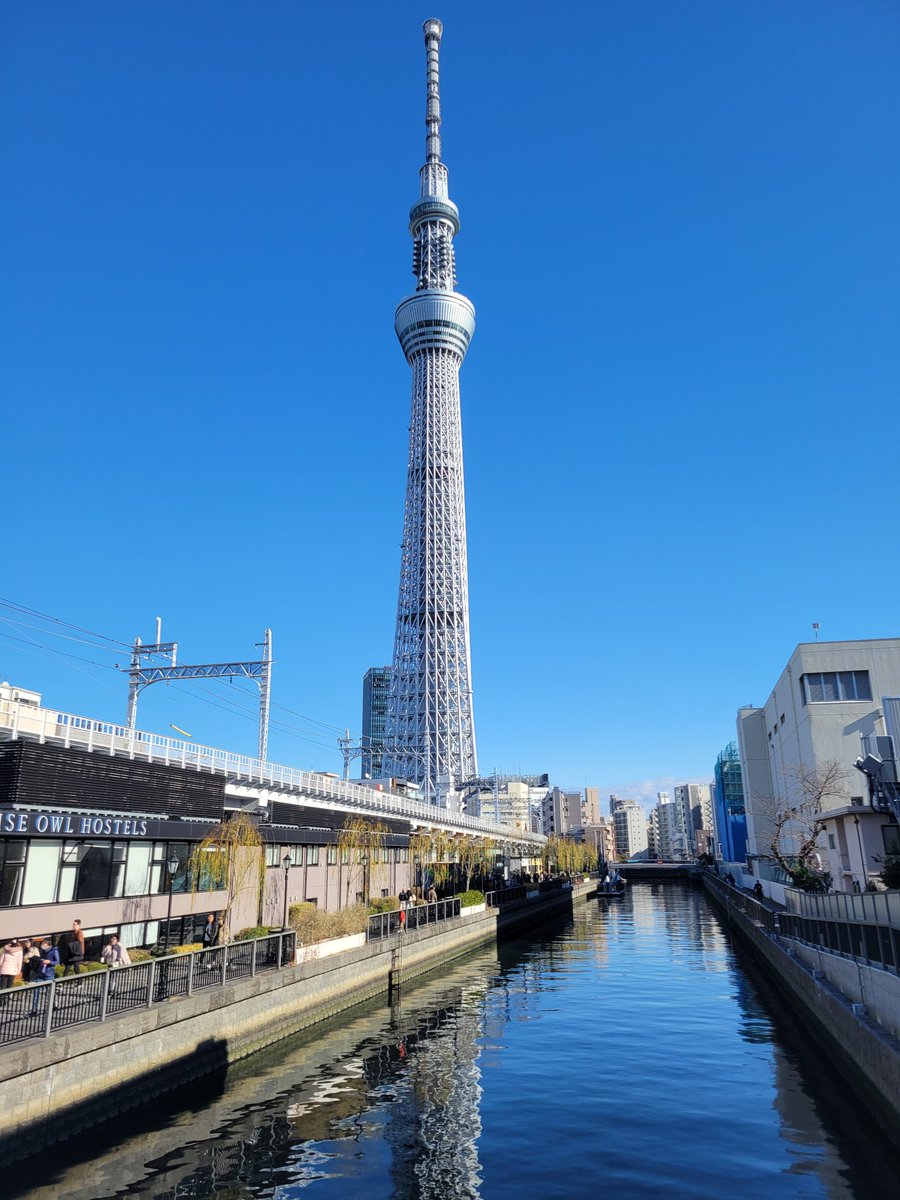 jing_wind's tweet photo. 明けましておめでとうございます🎍
良い一年になりますように(‐人‐) https://t.co/0sALYW4xk7