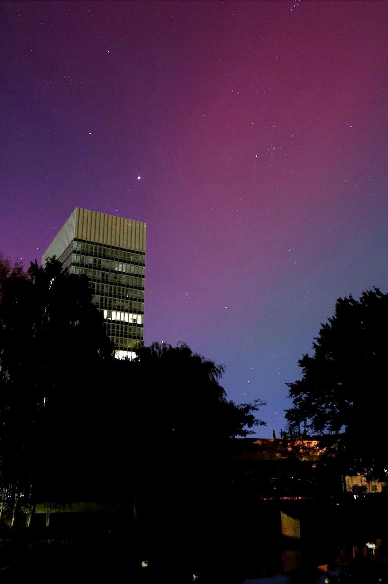 Alastair Wright tweet media