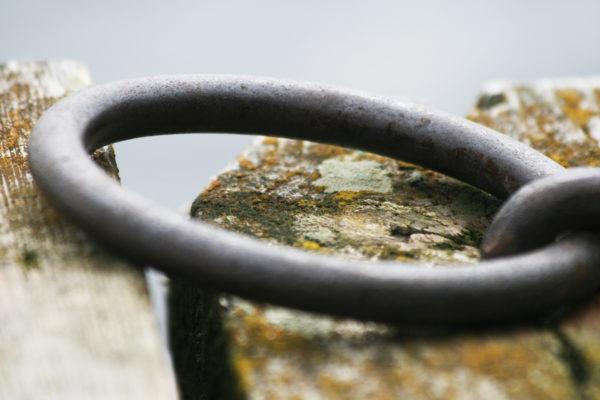 Huolia, murheita ja asiat solmussa?

Tule keskustelemaan niistä aikuisille suunnattuun kahdenkeskiseen MIELI Kriisichattiin, joka on Tukinetissä tänään torstaina 2.1. klo 15-21!

tukinet.net
#keskusteluapu #kriisi #mieli #mielenterveys #tukinet #yksilöchat