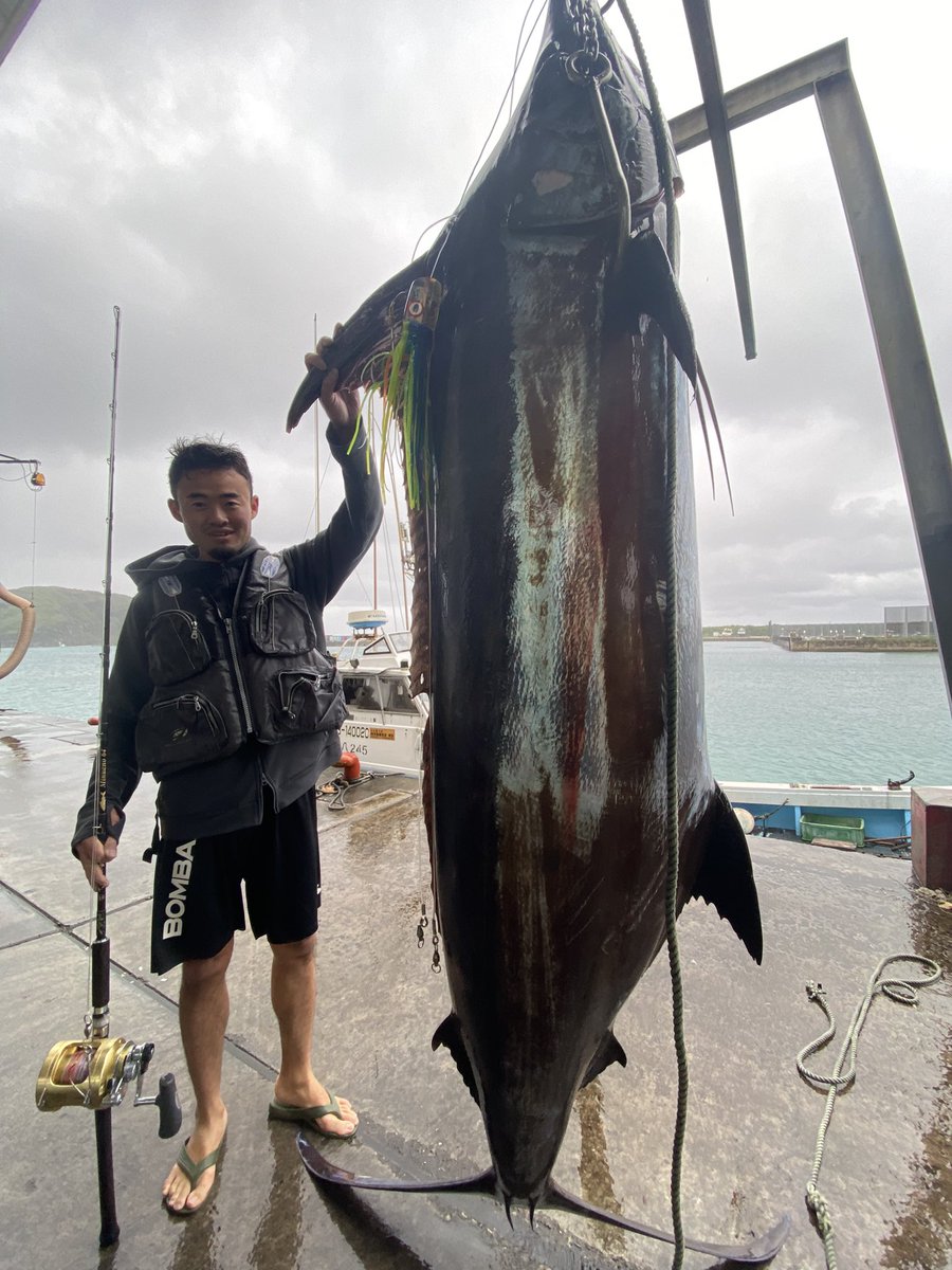 yu13346592's tweet photo. 新年早々で黒カジキ140キロ、ファイトタイム1時間40分。
ギンバル無しの完全���タンディングでした。
相棒のミヌアノで釣れて良かった。

＃ボンバダアグア＃ミヌアノ64
＃黒カジキ＃ブルーマーリン
＃与那国島＃日本崎西端の島 https://t.co/ne7I5KsW3M