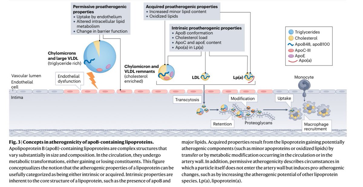 Almudena Castro Conde tweet media