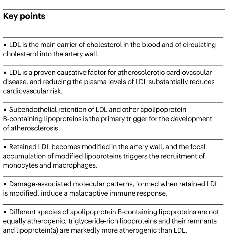 Almudena Castro Conde tweet media