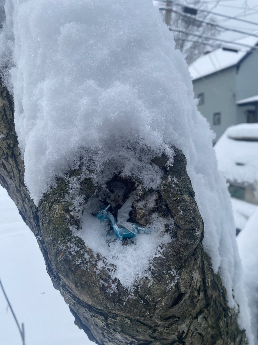 ylllom777's tweet photo. 2024 was a big year for stuff being in the trees https://t.co/KQSIEGzUJ7