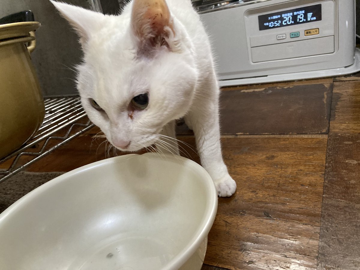 MACHAKINTV's tweet photo. 24歳らしい https://t.co/SiNvWglNfq