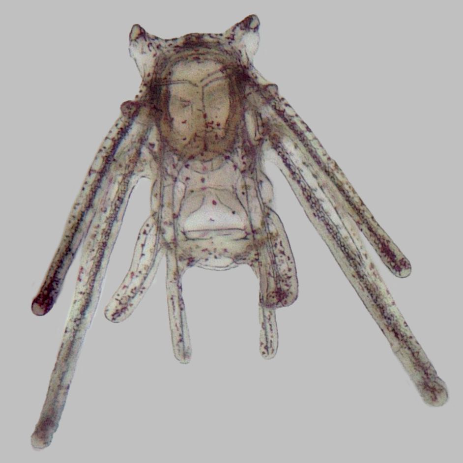 Marine Futures Lab tweet media