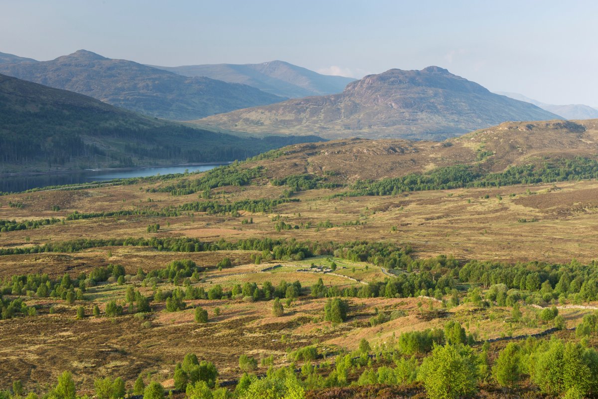 #RewildingWin: 30,000ha in Loch Arkaig to be restored – Achnacarry Estate, <a href="/ArkaigForest/">Arkaig Community Forest</a>, <a href="/ForestryLS/">Forestry and Land Scotland</a> and @WTScotsocial unite to rewild an area bigger than Edinburgh, intending to "reawaken the landscape".

🔗 More on this collaborative #rewilding project: s.mtrbio.com/ggtfjdkjke