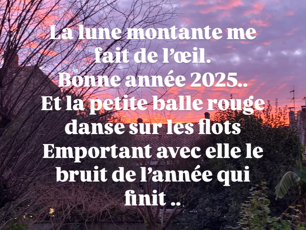 Bonne année 2025!!