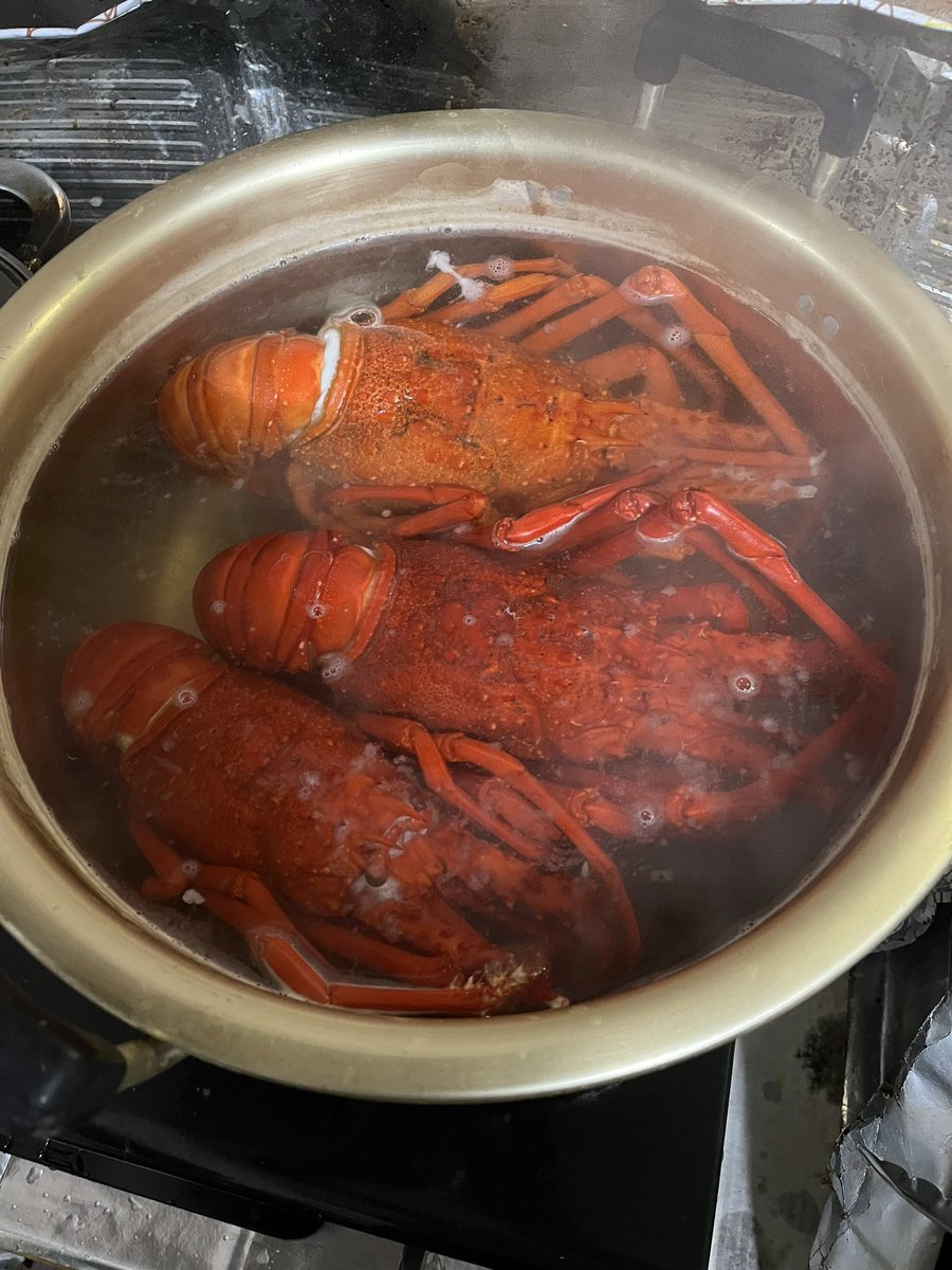 Stella08055055's tweet photo. 釣り納め&amp;釣り初め行って来た。今年は良い年になるかも。 https://t.co/hPKc2p79CO