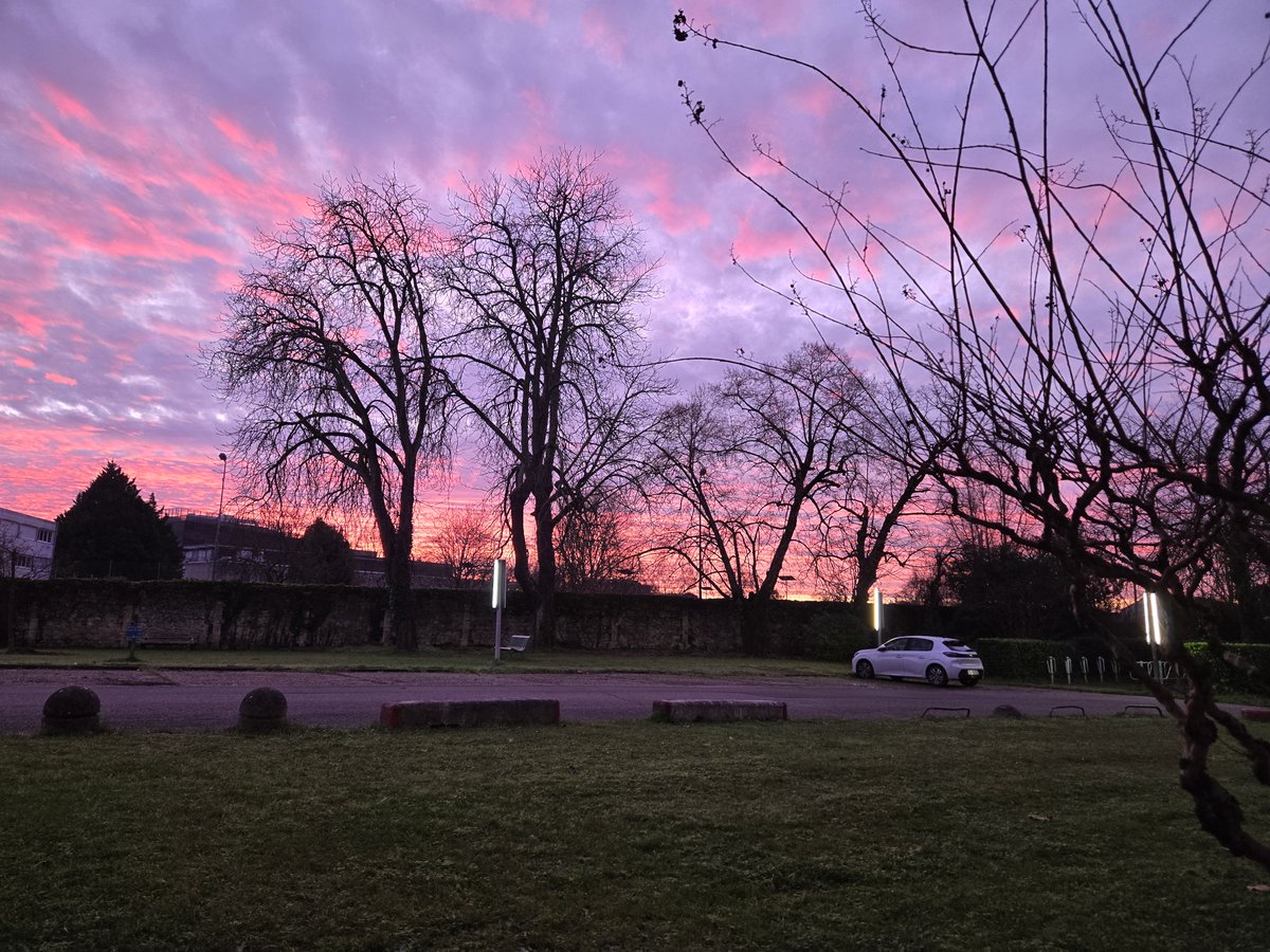 parneix pierre tweet media