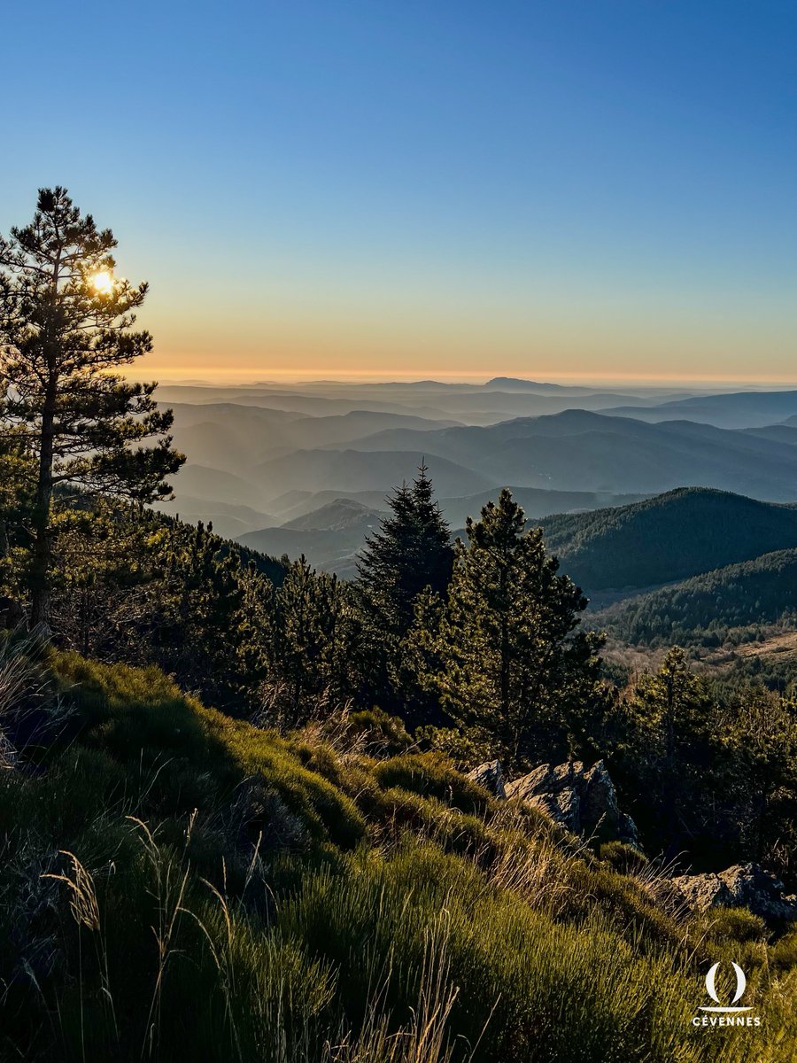 Chères abonnées, chers abonnés, chers amoureux des Cévennes, et à vous qui passez par là,

C'est avec cette magnifique photo de Samuel Chatard que je voulais vous souhaiter une bonne année 2025. Quoi de mieux en effet qu'une vue sur nos Cévennes à l'aurore pour célébrer la