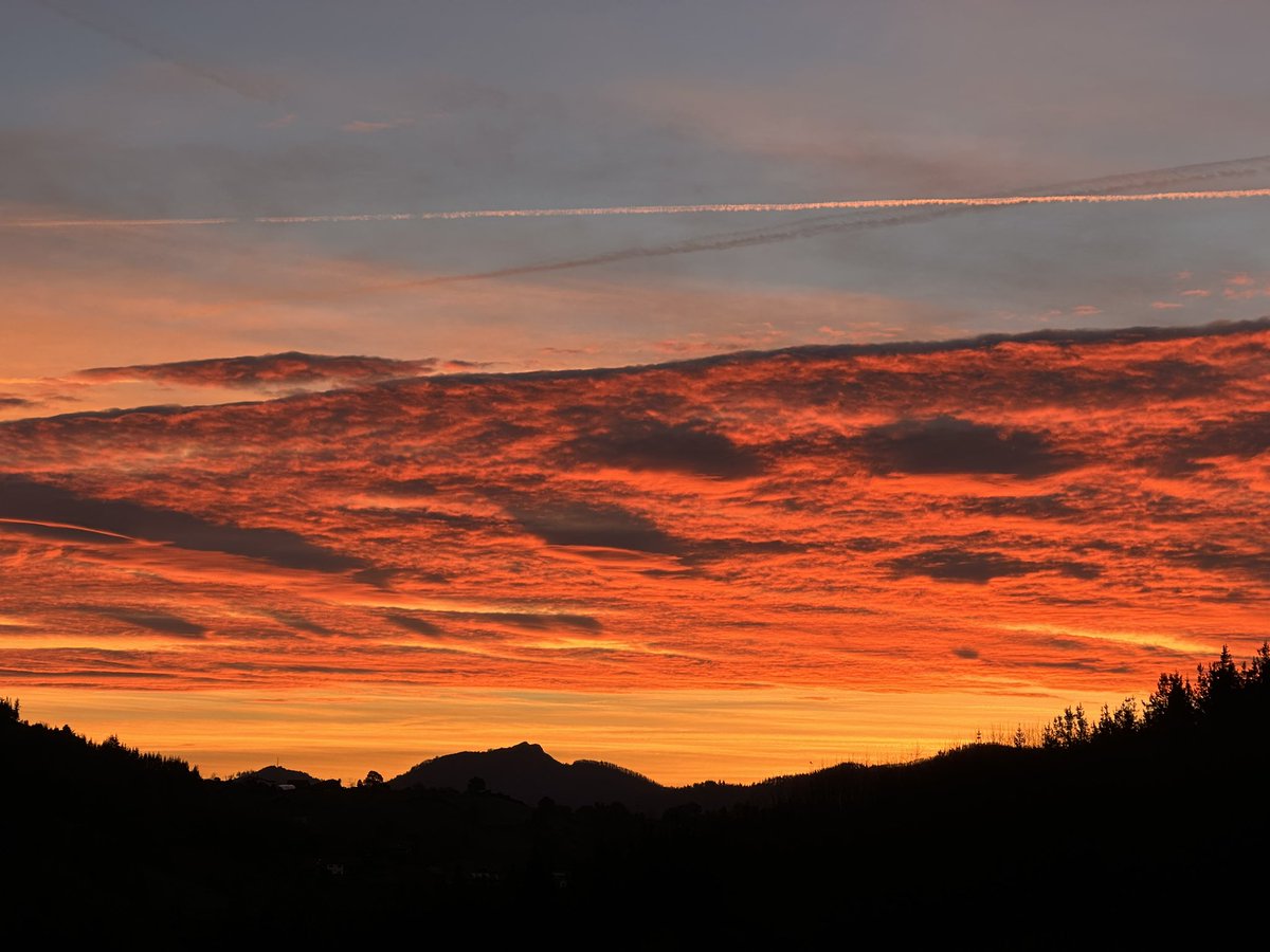 Uxune Martinez tweet media