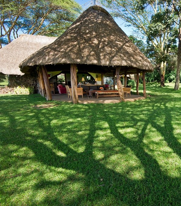 The Naming Game tweet media