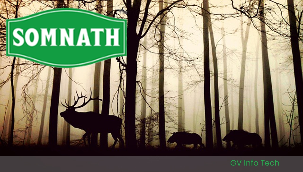 Gaurav_271203's tweet image. #EmpoweringBusinessGrowth #InnovativeITSolutions #CustomerSatisfactionFirst #BuildingLastingPartnerships #AdaptingToYourNeeds #ExcellenceInService #NavigatingTechChallenges #TailoredITServices #DrivingSuccessTogether #GVInfoTech