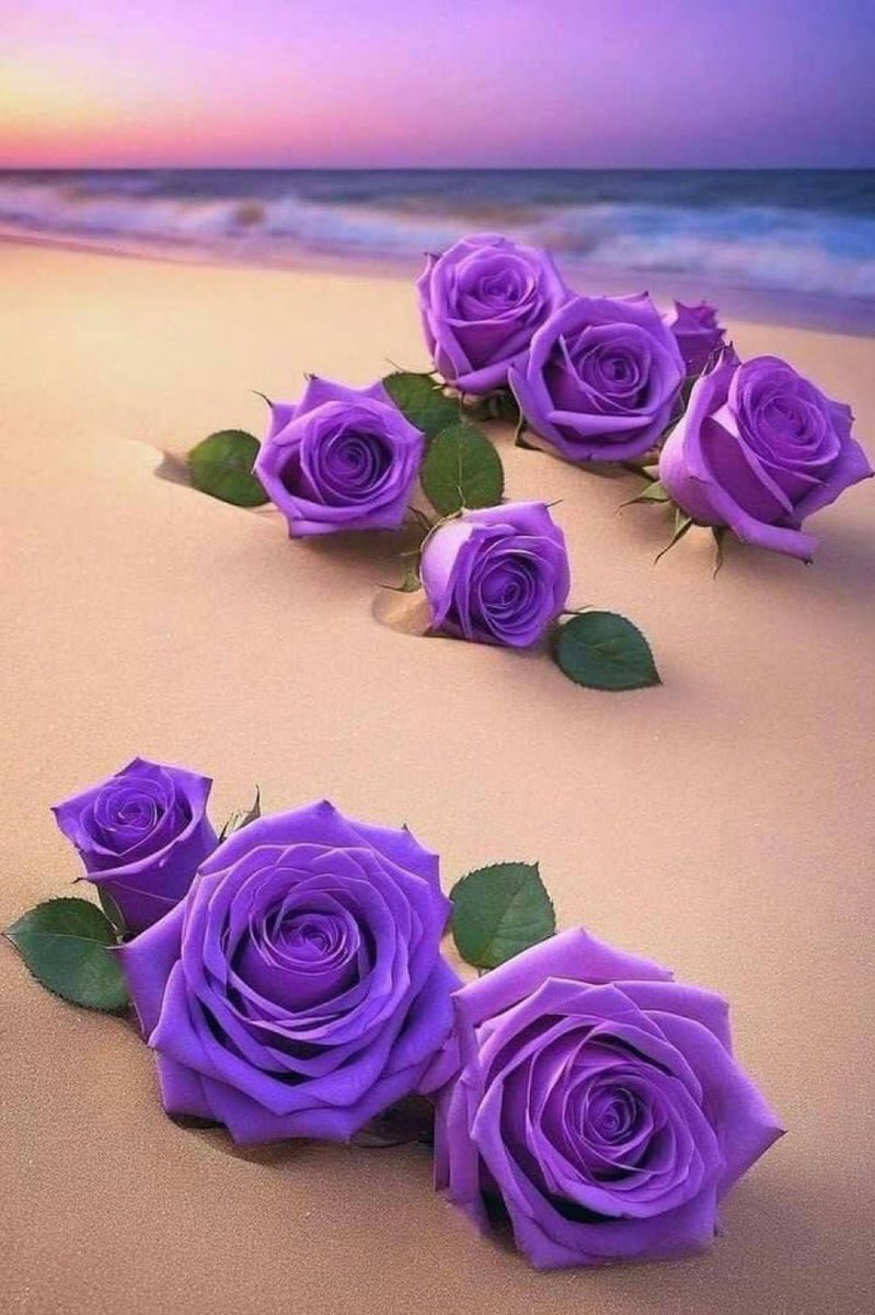 جيتك كبير عمر 
            لقيتك كبير طيب
                       جيتك مكسور
                                    لقيتك جبر