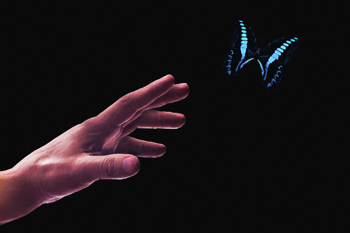 Edneyone 🎮📸 tweet media