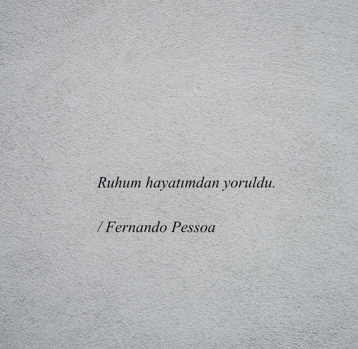 asiye_ulu's tweet photo. @Raskolnikovsair https://t.co/qVfeEXzYVc