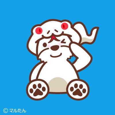marutan2014's tweet photo. ��Happy New Year🎍
🐾今年もよろしくね🐾
　
みんなハッピーな
良い一年になりますように🐶

新年LINEスタンプ
↓こちらもよろしくね🔗
https://t.co/zJ8MzmE7xR

#マルチーズのマルたん 
#マルチーズ大好き 
#犬好きさんと繋がりたい 
#マルチーズ好きと繋がりたい 
#白い犬 #maltese #malteselove https://t.co/oElGLrLYG7