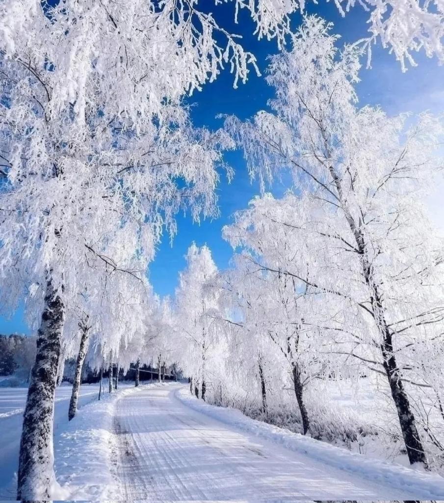 MirkoVasi2's tweet photo. Good morning everyone 🌞❄️☕☃️💙 https://t.co/wIbcZEAa2s