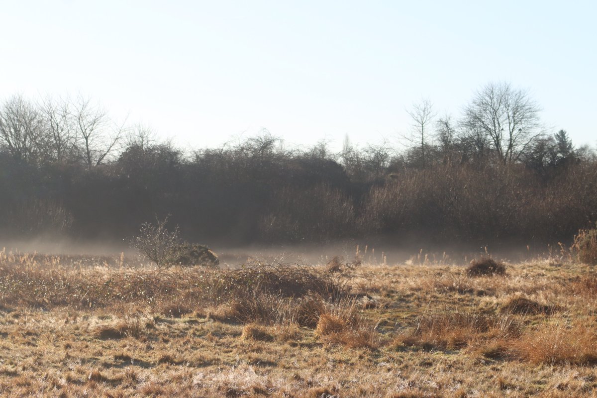 jgphotography10's tweet photo. A few more from a bright and wintry Boxing Day morning at Pity Me Carrs.

#BoxingDay #Winter #PityMe #Durham #Photography https://t.co/GuzarJ4LBd