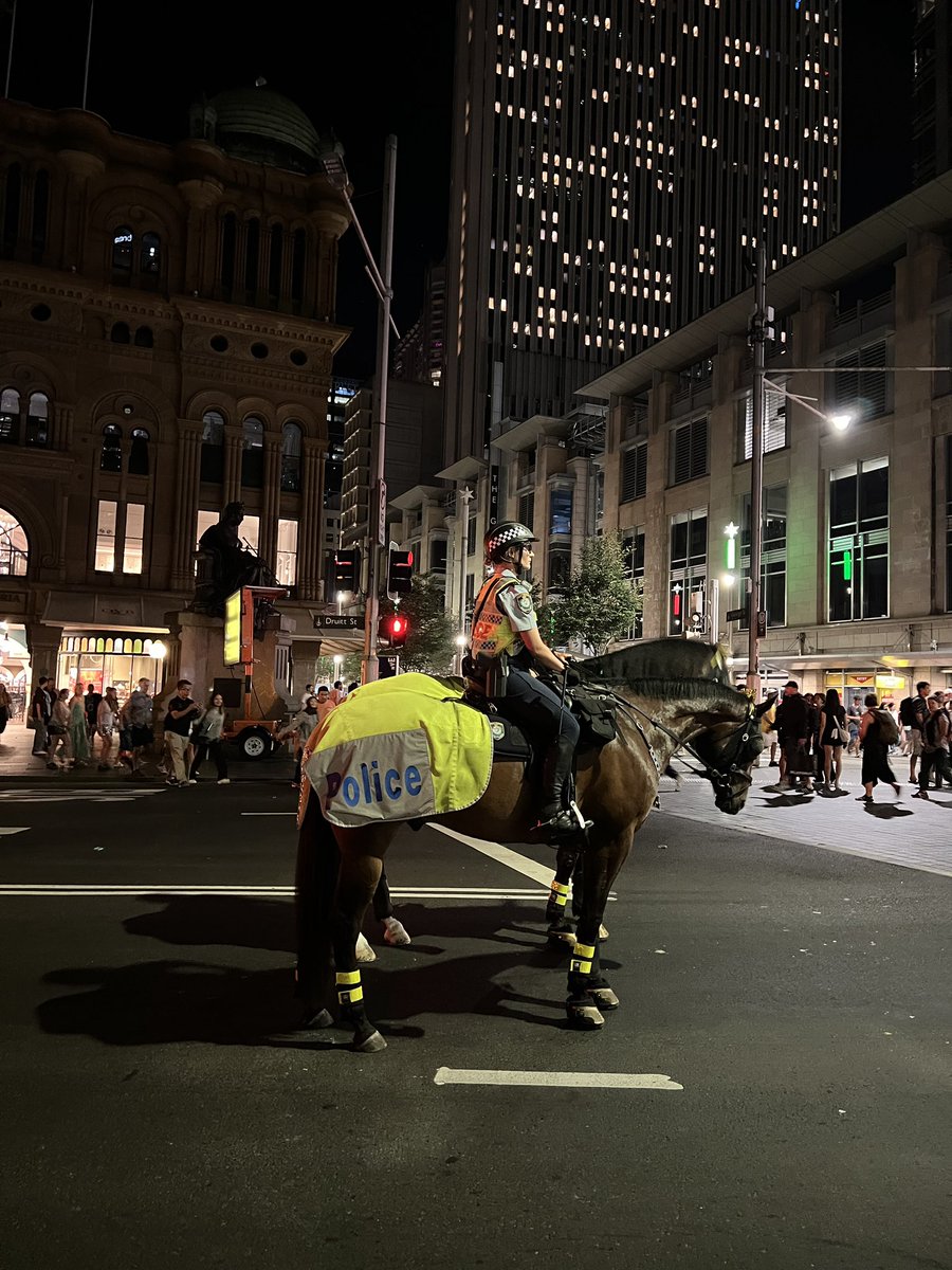 2F0cus's tweet image. 👮🐎