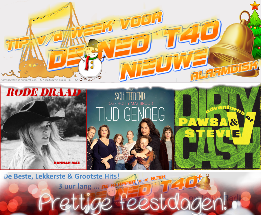 DE NED TOP 40 tweet media
