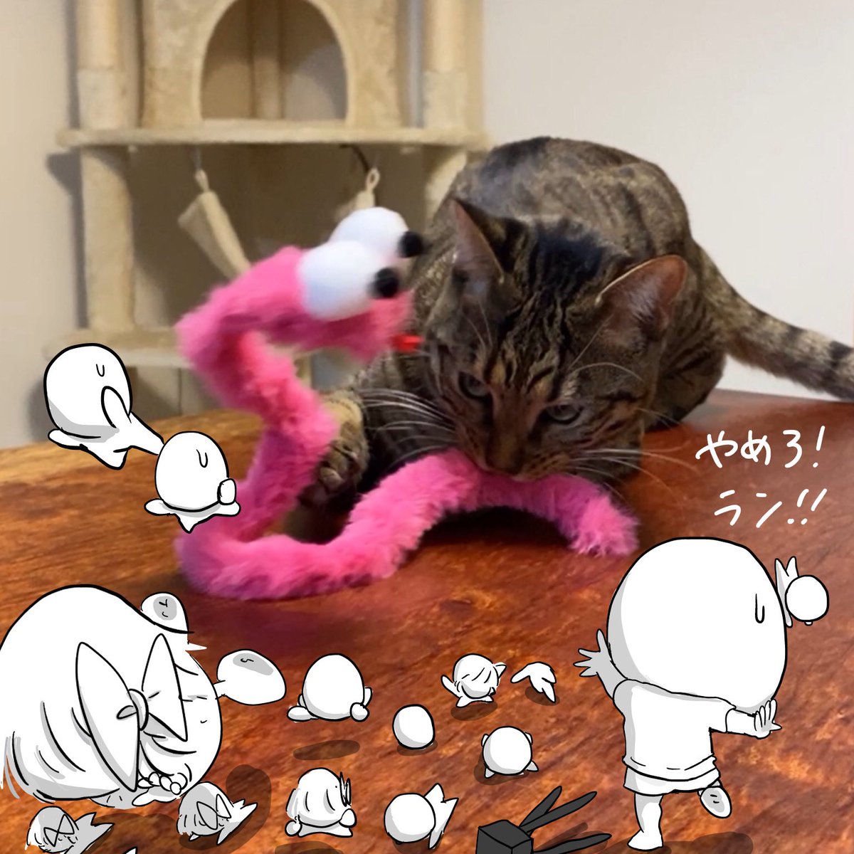 あけましておめでとうございます🎍

猫(ラン)に全てを邪魔されるぱらおとぱらみ。

今年もパラデル漫画をよろしくお願いします! 
