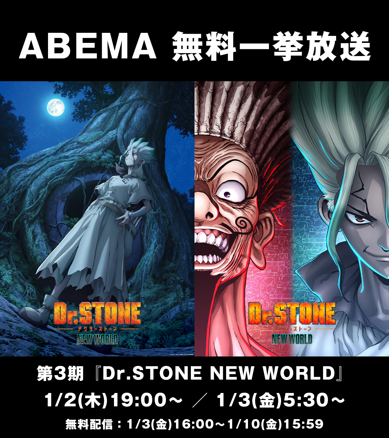 Dr.stone 1〜19、21巻+α Amazon | Dr. STONE, Vol. 19: Corn City: Population One