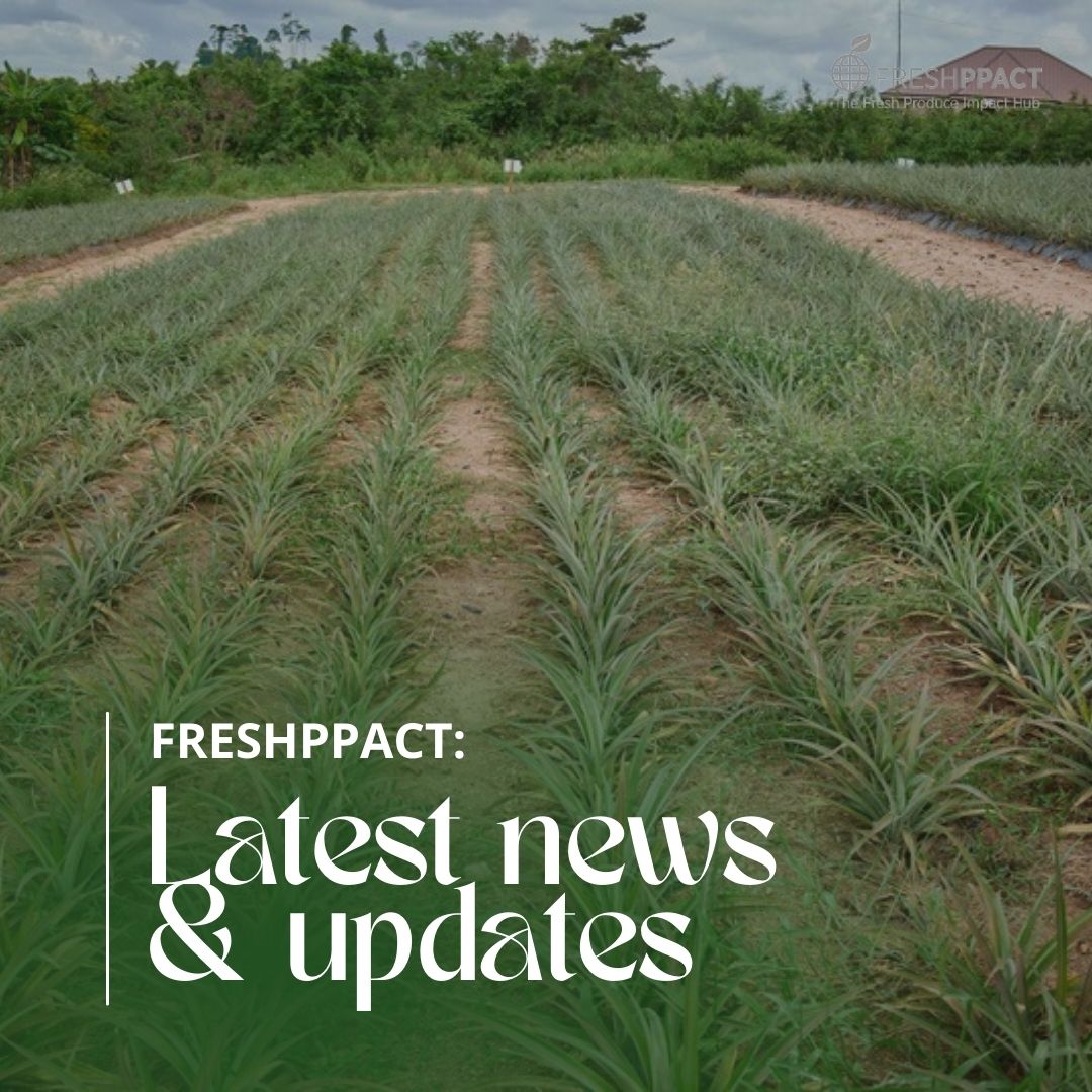 Happy New Year 🎉

We're excited to share even more impactful innovations, events, and workshops with you this year! Want to stay ahead of the curve? Sign up for our newsletter to be the first to receive all the latest updates and announcements. 

#FRESHPPACT